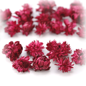 _N[|zz^ wNT wbh Cbh vU[uht[ ԍ X[t[ n[oE A} bNX TVF  [X Lh Â ޗ ANZT