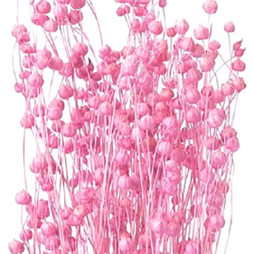 お気に入り リンフラワー 花材 プリザーブドフラワー 大地農園 人気 25g 小花 大地農園：小花 35010-221 ストロベリー