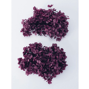 _N[|zz^ n_ \tgs~bhAWTC wbh 2 oCIbg vU[uht[ ԍ AWTC n_ AWTC \tgs~bhAWTC wbh Atelier memi Ag