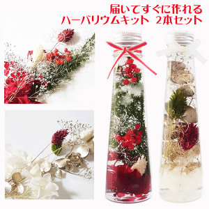 \クーポン配布/ ハーバリウム キット 2本セット クリスマス クリスマスツリー 誕生日 花 花材 ピンセット オイル 瓶 プリザーブドフラワー すぐに作れるハーバリウムキット クリスマスプ