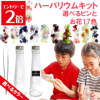 楽天市場】ハーバリウム キット 送料無料の通販
