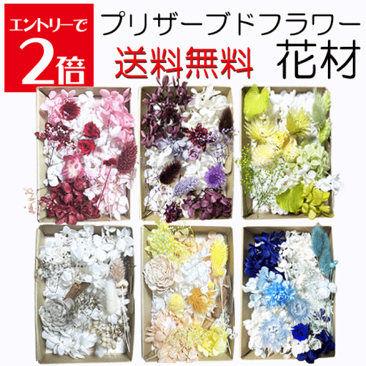 楽天市場】＼クーポン配布／ プリザーブドフラワー 花材 【送料無料