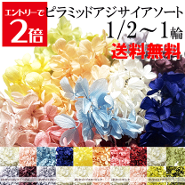 楽天市場】プリザーブドフラワー あじさい 小分けの通販 