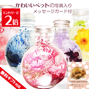 _z^ n[oE Mtg ybg Mtg 2{Zbg Mtg{bNX ~Mtg a v[g  L  ʐ^t vU[uht[  j o[Xf[ 蕨