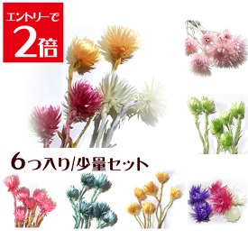 ＼クーポン配布／ ハーバリウム 花材 キット シルバーデージー 6個入り 選べる7色 プリザーブドフラワー 花材 大地農園 ドライフラワー スモールフラワー 楽天ランキング1位 Atelier memi アトリエメミ