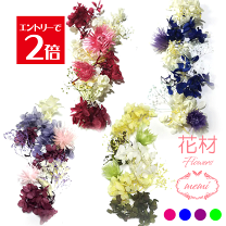 楽天市場】レジン セット（プリザーブドフラワー｜花・観葉植物）：花