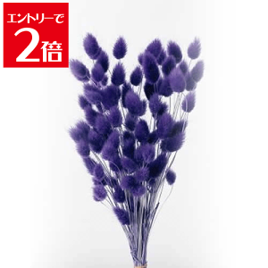 _10%OFF^ nj[e[ O[v vU[uht[ ԍ X[t[ n[oE A} bNX TVF  [X Lh Â ޗ ANZT[  Atelier memi Ag