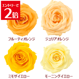 ＼クーポン配布／ バラ 【1輪】 選べる4色 イエロー オレンジ プリザーブドフラワー 花材 キット ハーバリウム セット アソート Atelier memi アトリエメミ