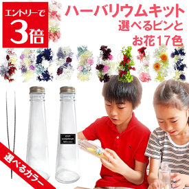 ＼クーポン配布／ ハーバリウム キット さくら 桜のハーバリウム 入学 花材 入園 御祝い 送料無料 1本分 選べる15色 花材 セット ボトル ピンセット オイル 花材 瓶 プリザーブドフラワー ハーバリウムキット セット お家時間 Atelier memi