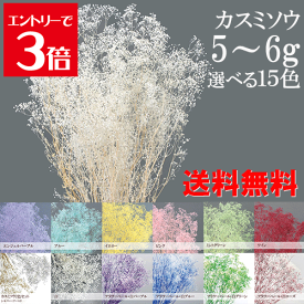 ＼クーポン配布／ プリザーブドフラワー かすみ草 カスミソウ 小分け 花材 ソフトミニカスミソウ 約5~6g 【送料無料】 4色セット アソート シロ 白 フラワーベール ピンク ワイン ブルー パープル ハーバリウム 花材 カスミ草 ハンドメイド 手作り 楽天ランキング1位