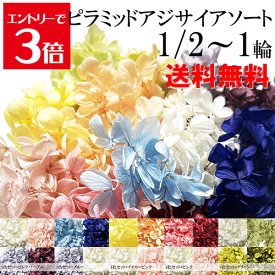 ＼クーポン配布／ プリザーブドフラワー あじさい アソート 12色セット ハーバリウム 花材 【送料無料】 約5〜6g 約10〜11g 小分け ソフトピラミッドアジサイ ホワイト 白 ピンク イエロー グリーン ブルー パープル フラワー 花 小分け花材 Atelier memi
