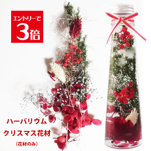 ハーバリウム プリザーブドフラワー クリスマス」の人気商品一覧