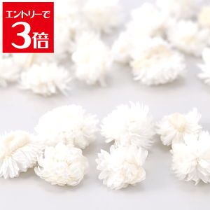 _N[|zz^ wNT wbh  vU[uht[ ԍ X[t[ n[oE A} bNX TVF  [X Lh Â ޗ ANZT[ n_