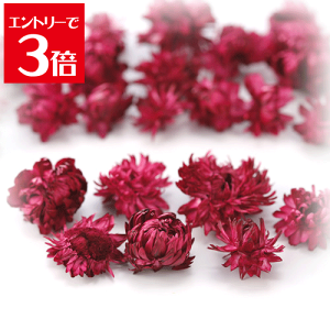 _N[|zz^ wNT wbh Cbh vU[uht[ ԍ X[t[ n[oE A} bNX TVF  [X Lh Â ޗ ANZT