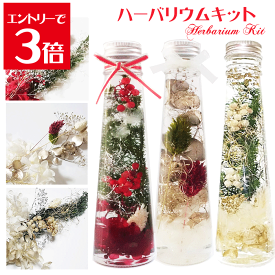 ＼クーポン配布／ ハーバリウム キット クリスマス キット 送料無料 1本分 選べる3色 花材 セット ボトル ピンセット オイル 花材 瓶 プリザーブドフラワー ハーバリウムキット セット お家時間 Atelier memi アトリエメミ