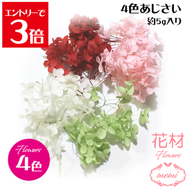 ＼10％OFF／ あじさい4色セット　ピンク・白・赤・グリーン　プリザーブドフラワー あじさい　花材 ハーバリウム 大地農園　ハーバリウムキット