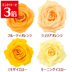 ＼クーポン配布／ バラ 【1輪】 選べる4色 イエロー オレンジ プリザーブドフラワー 花材 キット ハーバリウム セット アソート Atelier memi アトリエメミ