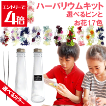 楽天市場】ハーバリウム セットの通販