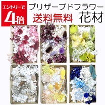 プリザーブドフラワー　詰め合わせ　花材　材料　ハンドメイド　リボン　匿名配送 楽天市場】プリザーブドフラワー 詰め合わせ 花材の通販