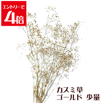 楽天市場】かすみ草 プリザーブドフラワー 花材 ゴールドの通販