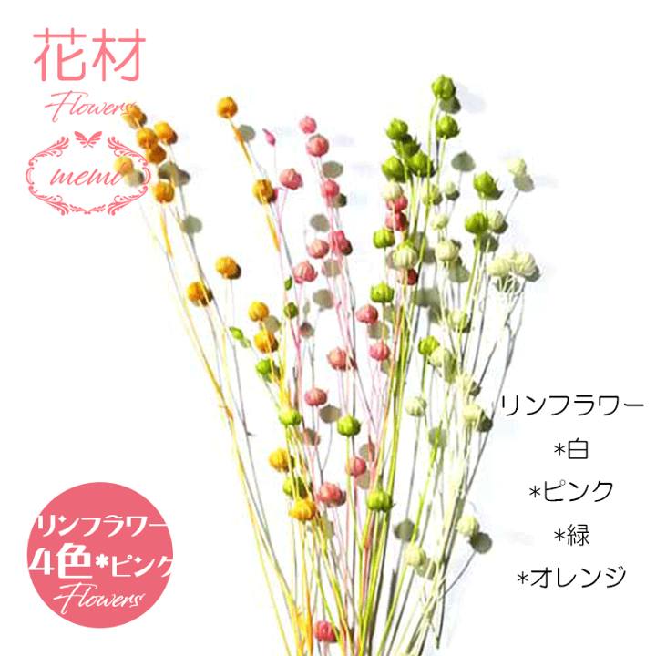 楽天市場 クーポン配布 ハーバリウム 花材 送料無料 キット セット プリザーブドフラワー キャンドル ドライフラワー カラフル 詰め合わせ 選べる11種類 ラグラス ラスカス ポアプランツ カスミソウ ハニーテール ギフト 花 髪飾り Atelier Memi アトリエメミ