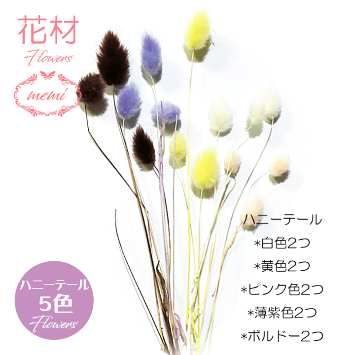 楽天市場】\クーポン配布/ ハーバリウム 花材【送料無料】キット セット プリザーブドフラワー キャンドル ドライフラワー カラフル 詰め合わせ 選べる11種類 ラグラス ラスカス ポアプランツ カスミソウ ハニーテール ギフト 花 髪飾り Atelier memi アトリエメミ 母の ... 楽天市場】\クーポン配布/ ハーバリウム 花材【送料無料】キット セット プリザーブドフラワー キャンドル ドライフラワー カラフル 詰め合わせ 選べる11種類 ラグラス ラスカス ポアプランツ カスミソウ ハニーテール ギフト 花 髪飾り Atelier memi アトリエメミ 母の ...