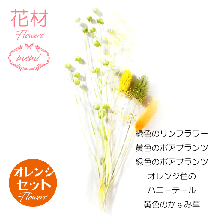楽天市場】\クーポン配布/ ハーバリウム 花材【送料無料】キット セット プリザーブドフラワー キャンドル ドライフラワー カラフル 詰め合わせ 選べる11種類 ラグラス ラスカス ポアプランツ カスミソウ ハニーテール ギフト 花 髪飾り Atelier memi アトリエメミ 母の ... 楽天市場】\クーポン配布/ ハーバリウム 花材【送料無料】キット セット プリザーブドフラワー キャンドル ドライフラワー カラフル 詰め合わせ 選べる11種類 ラグラス ラスカス ポアプランツ カスミソウ ハニーテール ギフト 花 髪飾り Atelier memi アトリエメミ 母の ...