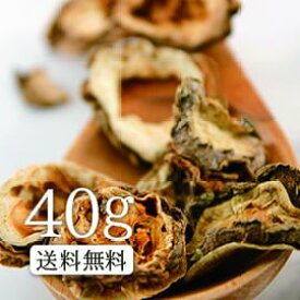 【送料無料】卸値価格！ゴーヤ茶40g 南国の長寿を支える伝統食！ ダイエット茶 健康茶/お茶 ゴーヤ茶（実種混合） OM