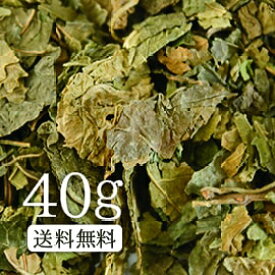 【送料無料】卸値価格！桑の葉茶（くわの葉茶）40g　日本人に足りないミネラルが詰まった！【ダイエットティー】【健康茶/お茶】桑の葉茶/桑茶/くわ茶/クワ茶 OM