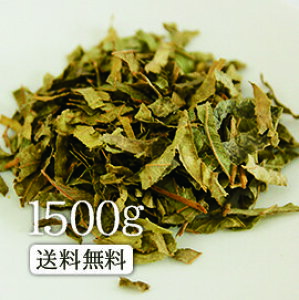 yƖpiIzAVWEiO@oj1500g@̔Y݂̋IAVWEiO@oj1.5L