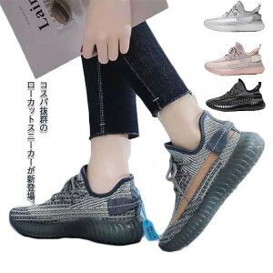 bVXj[J[ y  fB[X  jOV[Y EH[LOV[Y Y r Xb| ₷ U s Xg[g gh lC  ujbg JW