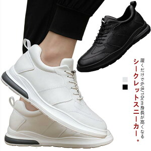 Y V[NbgXj[J[ V[NbgV[Y V[Y Y 8cm 6cmAbv Xj[J[ gAbv 10cm [Jbg  C X|[c ʋ ʊw ₷ rWlX Cq[