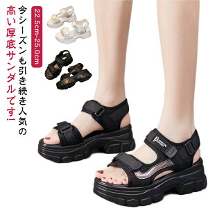  T_ X|[cT_  vbgtH[  X|T  T_ fB[X s AEghA {[\[ ₷ xN Ȃ r RtH[g