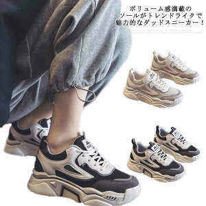 _bhXj[J[ 5cm Xj[J[ zF bV ʋC fB[X {[\[ gAbv w NbV ؍ y JWAV[Y t  H r L u