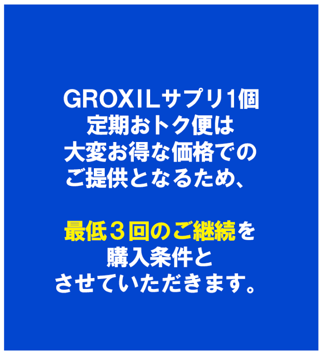 GROXILグロキシル　サプリメント 1袋