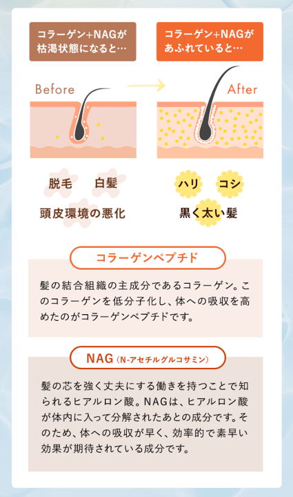 グロキシルサプリ　GRO   育毛サプリ 楽天市場】GROXIL グロキシル 180粒 薬学博士監修 薬用 無添加 無香料