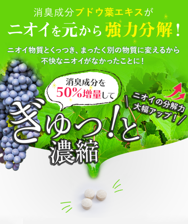 楽天市場】インナー サプリメント REFUME リフューム 90粒 (約1ヶ月分 