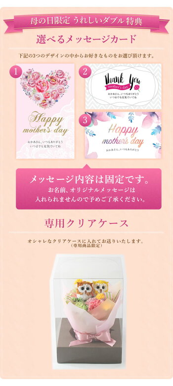 【母の日ギフト特集】送料無料光触媒光の楽園ハッピーペアふくろう(ピンク)<福来朗・不苦労>【アートフラワー造花観葉植物】【10P26Mar16】