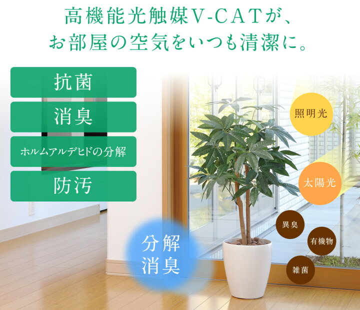 楽天市場】光触媒 人工観葉植物光の楽園 ドラセナ 高さ 1.8mインテリア  
