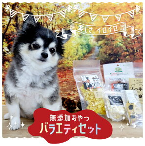 _ Gg[Ń|Cgő10{I ^y [֑Ή zYoGeBZbg Zbg(Y Y   AM[) (Mtg v[g Zbg )