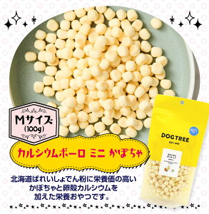 _yVX[p[SALE{|Cgő10{^hbOc[ MTCY y {[ Y  Y i`{[ JVE ~jڂ ~j_ M[ [W JVE hb