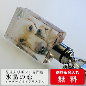 L[z_[ p^@LEDCgt  IWi I[_[Ch ybg tHgObY vg IWi ybg ʐ^ ObY@Cg L[O  O e