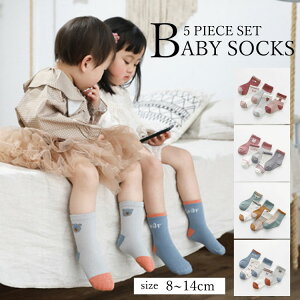 _50%OFFN[|gp640~^xr[\bNX LbY\bNX C Zbg 5 xr[ q qǂ  xr[ qǂ q \bNX H t  ~ ̎q j̎q Vv n Eɂ