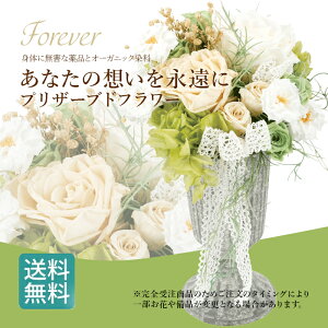 vU[uht[ ^CvC/ j j j V z a LO v[g 䒆   hCt[   MtgސEj ʉ  Cj AW