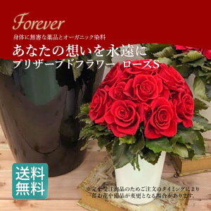 vU[uht[ [YS/ j j j V z a LO v[g 䒆   hCt[   MtgސEj ʉ  Cj AW