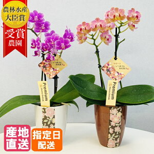 ؗFT ~fB Ӓ 3 2{ hV̓ sN  A  Ԕ  ~jӒ ~fBӒ 蕨 av[g җ j oYj Ε