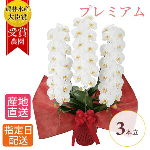 v~A Ӓ  3{ 42ֈȏ  j ACj ސE j R`E 傤 Ӓ JXj ސEj a  seika   a v[g  Mtg j 