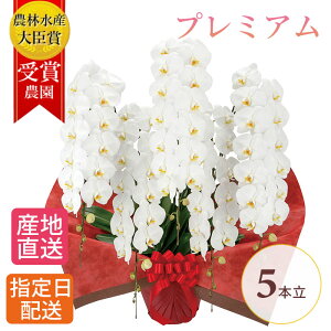 v~A Ӓ  5{ 70ֈȏ  j ACj ސE j R`E 傤 Ӓ JXj ސEj a  seika   a v[g  Mtg j 