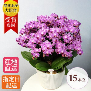 ~fB Ӓ 15{ 10 琢E sN    a v[g Mtg ~jӒ ~fBӒ j j j JXj JƏj ړ]j Ε