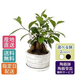 ϗtA KW} 5 x󓩊 /   A   CeA p A { 픫  j j JƏj I[v Vz z  V v[g  M